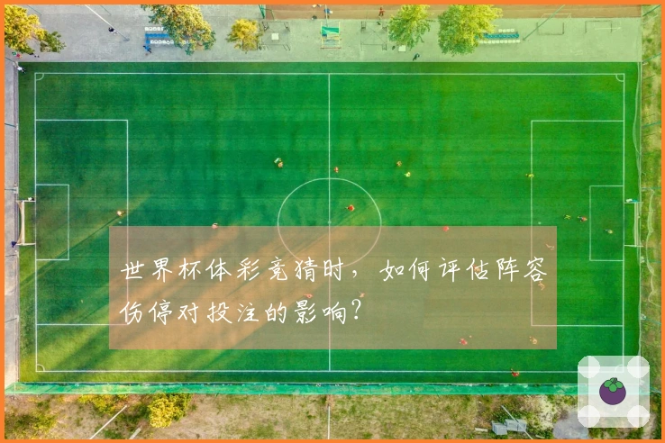 世界杯体彩竞猜时，如何评估阵容伤停对投注的影响？