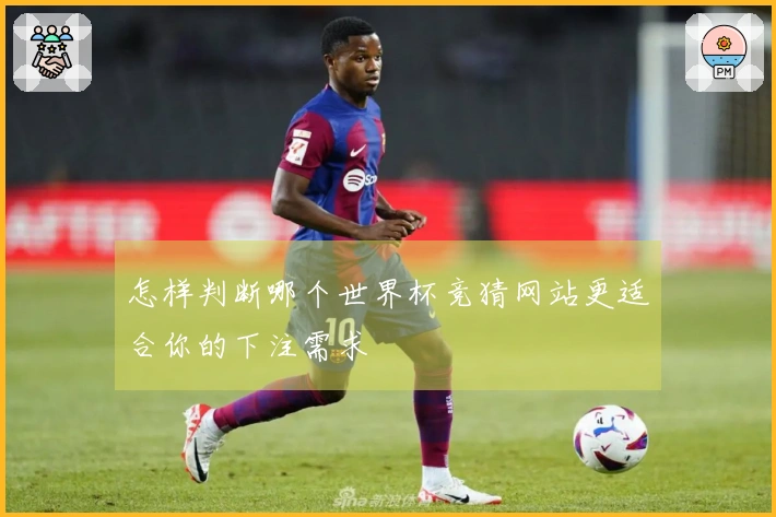 怎样判断哪个世界杯竞猜网站更适合你的下注需求