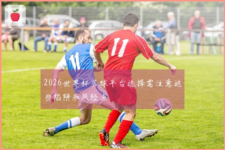 2026世界杯买球平台选择需注意这些陷阱和风险点