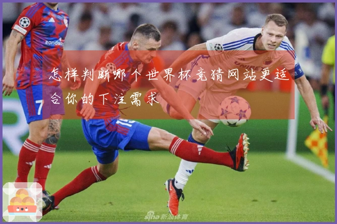 怎样判断哪个世界杯竞猜网站更适合你的下注需求