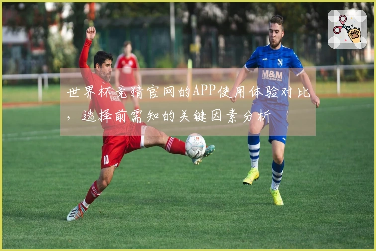 世界杯竞猜官网的APP使用体验对比，选择前需知的关键因素分析