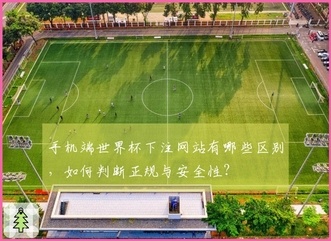 手机端世界杯下注网站有哪些区别，如何判断正规与安全性？