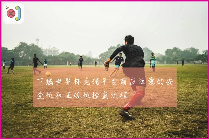 下载世界杯竞猜平台前应注意的安全性和正规性检查流程