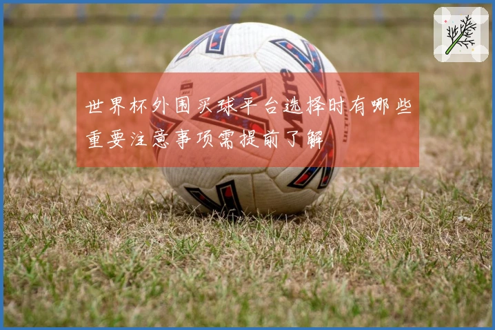 世界杯外围买球平台选择时有哪些重要注意事项需提前了解