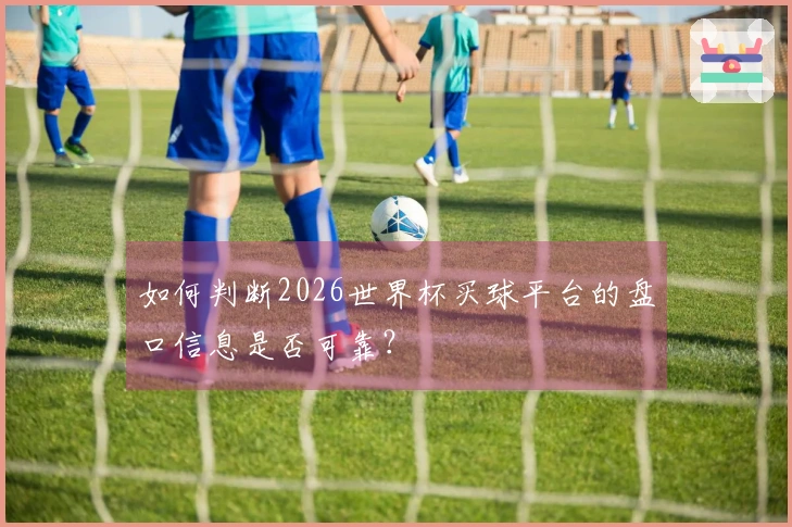 如何判断2026世界杯买球平台的盘口信息是否可靠？