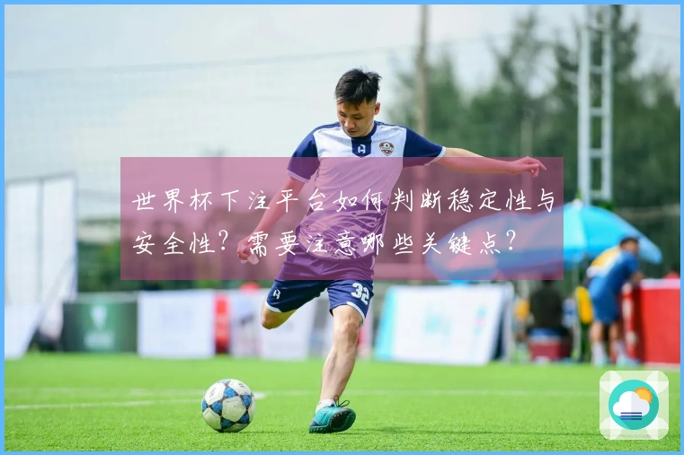 世界杯下注平台如何判断稳定性与安全性？需要注意哪些关键点？