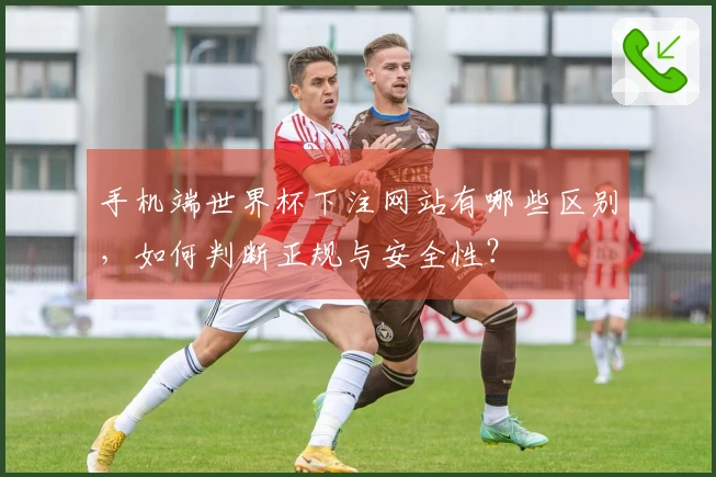 手机端世界杯下注网站有哪些区别，如何判断正规与安全性？