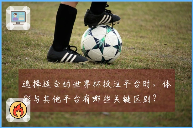 选择适合的世界杯投注平台时,体彩与其他平台有哪些关键区别?