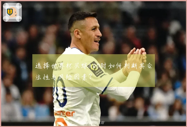 选择世界杯买球app时如何判断其合法性与风险因素？