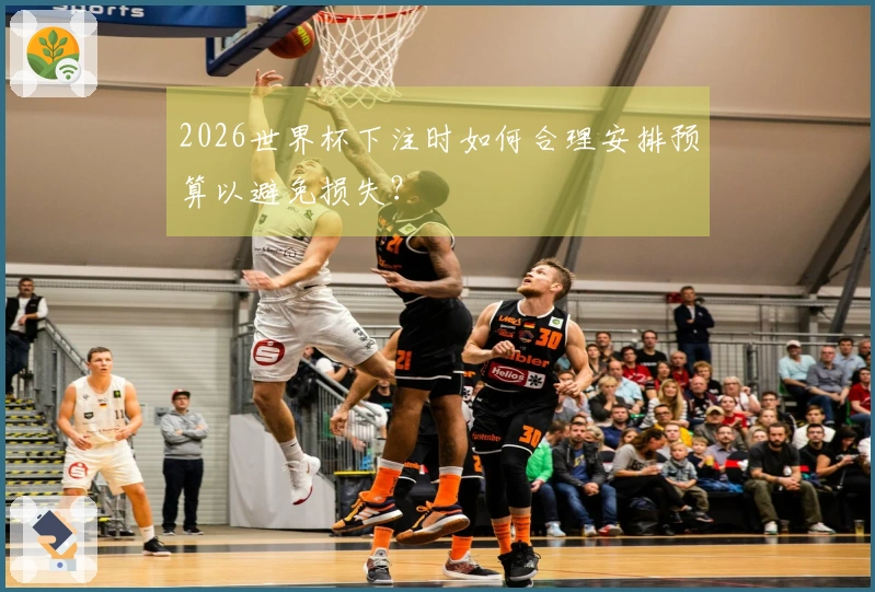 2026世界杯下注时如何合理安排预算以避免损失？