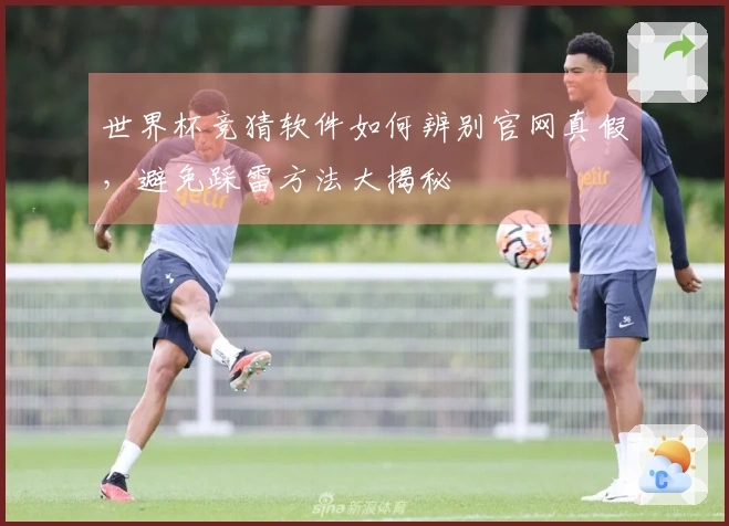 世界杯竞猜软件如何辨别官网真假，避免踩雷方法大揭秘