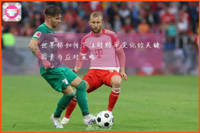 世界杯如何下注时赔率变化的关键因素与应对策略