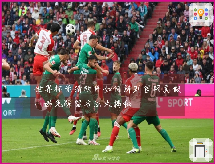 世界杯竞猜软件如何辨别官网真假，避免踩雷方法大揭秘