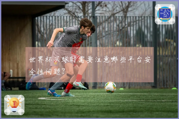 世界杯买球时需要注意哪些平台安全性问题？