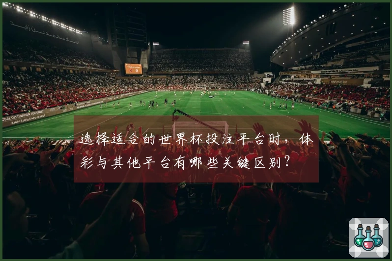 选择适合的世界杯投注平台时，体彩与其他平台有哪些关键区别？
