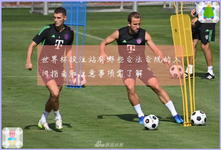 世界杯投注站有哪些合法合规的入门指南和注意事项需了解