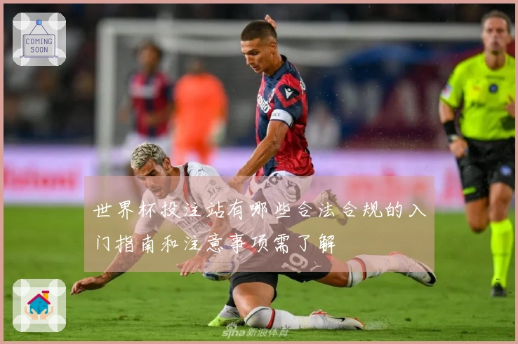 世界杯投注站有哪些合法合规的入门指南和注意事项需了解