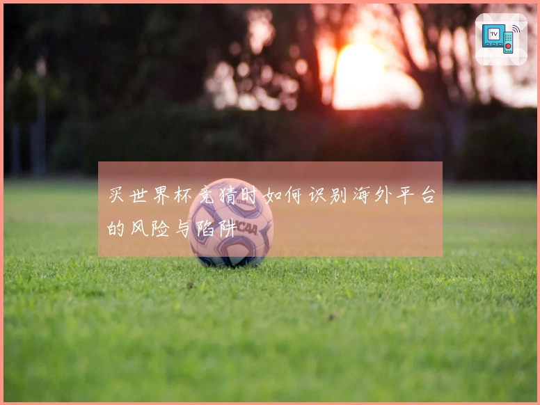 买世界杯竞猜时如何识别海外平台的风险与陷阱