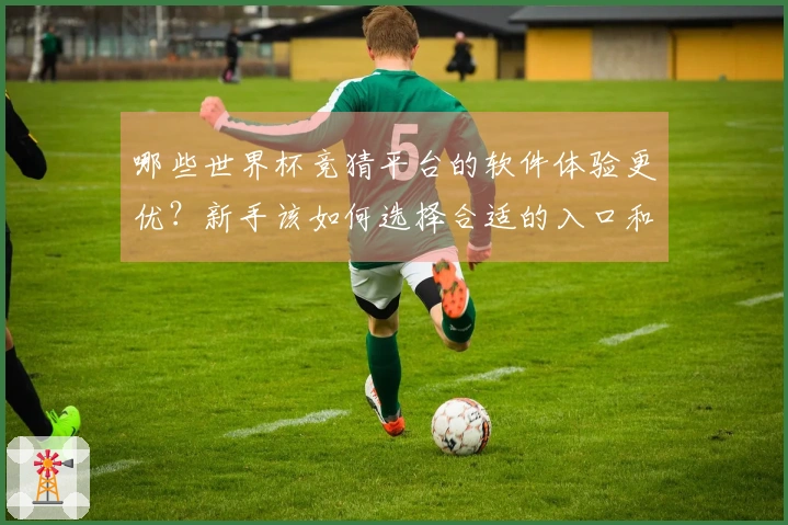 哪些世界杯竞猜平台的软件体验更优？新手该如何选择合适的入口和规则？