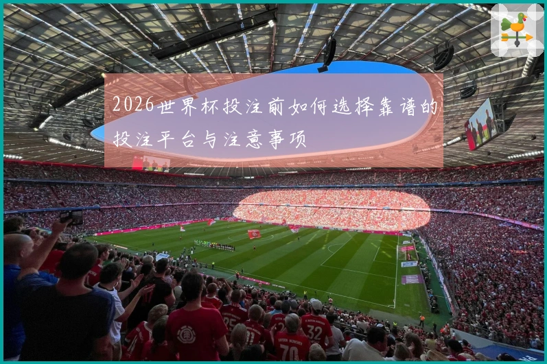 2026世界杯投注前如何选择靠谱的投注平台与注意事项