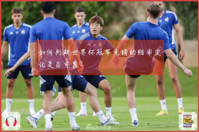 如何判断世界杯冠军竞猜的赔率变化是否可靠？