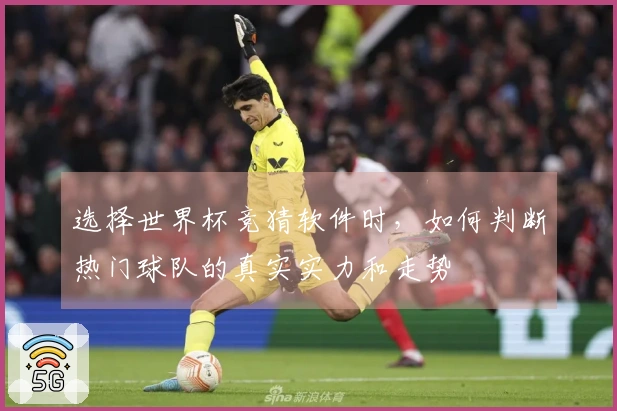 选择世界杯竞猜软件时，如何判断热门球队的真实实力和走势