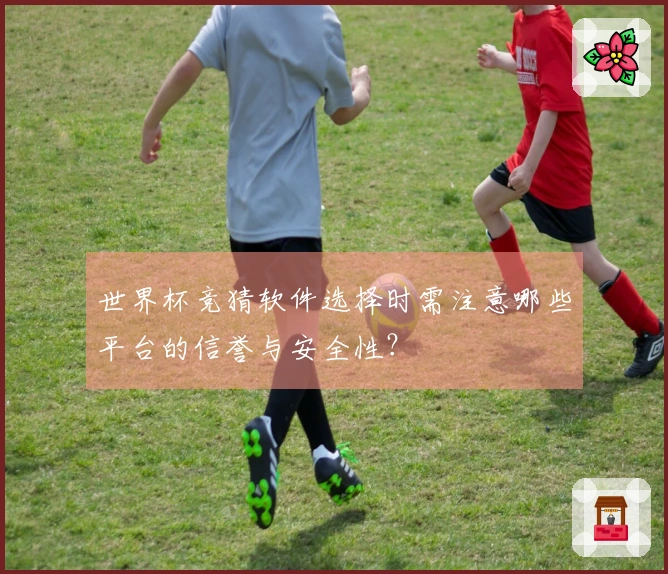 世界杯竞猜软件选择时需注意哪些平台的信誉与安全性？