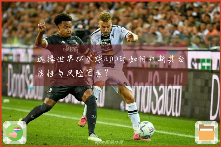 选择世界杯买球app时如何判断其合法性与风险因素？