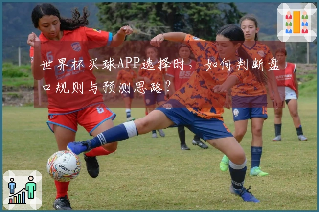 世界杯买球APP选择时，如何判断盘口规则与预测思路？