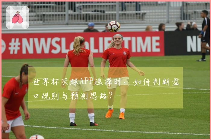 世界杯买球APP选择时，如何判断盘口规则与预测思路？