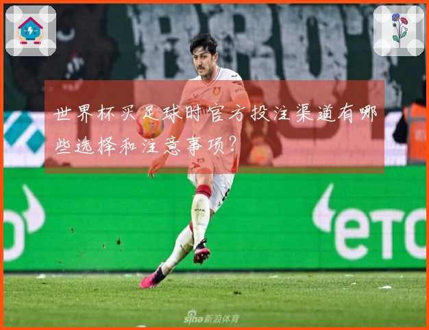 世界杯买足球时官方投注渠道有哪些选择和注意事项？