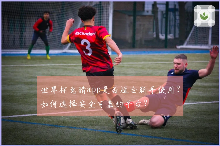 世界杯竞猜app是否适合新手使用？如何选择安全可靠的平台？