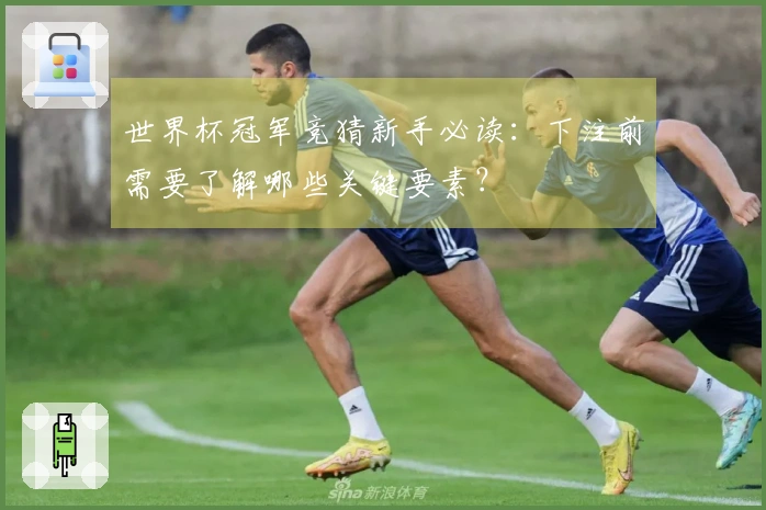 世界杯冠军竞猜新手必读：下注前需要了解哪些关键要素？